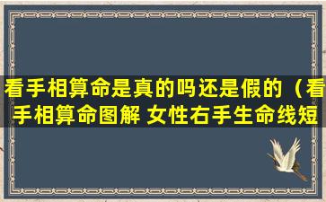 看手相算命是真的吗还是假的（看手相算命图解 女性右手生命线短）